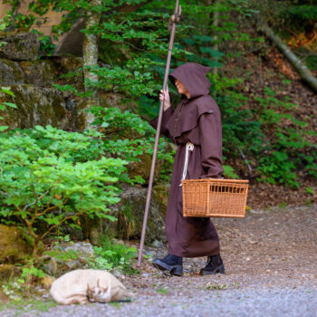 robin hood 14062025 51