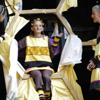 dsc 0807
