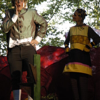 dsc 0893